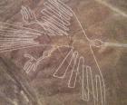 figürlerinden biri havadan görünüşü, bir kuş, Nazca Çölü, Peru&#039;daki Nazca çizgileri bir parçası